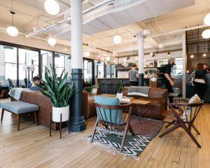 Shared office lounge with seating, indoor plants and open work areas